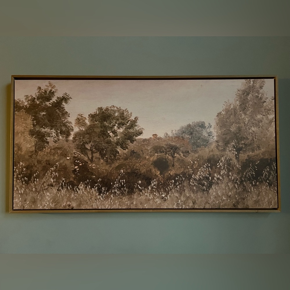 Smallwoods canvas / frame